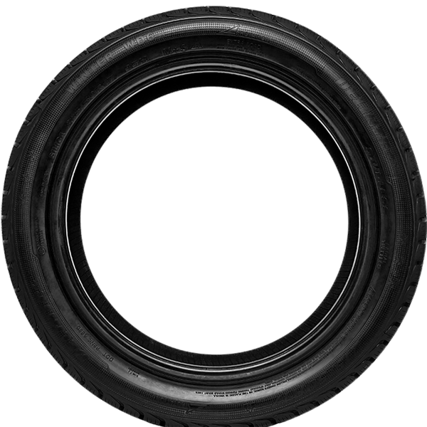 DELINTE - WINTER WD6 - 175/65 R15 TL 84T M+S 3PMSF BSW -  Winterreifen