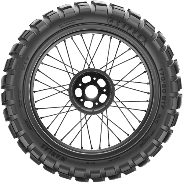 ANLAS - CAPRA X - 150/70 B18 TL 70T M+S REAR -  Sommerreifen