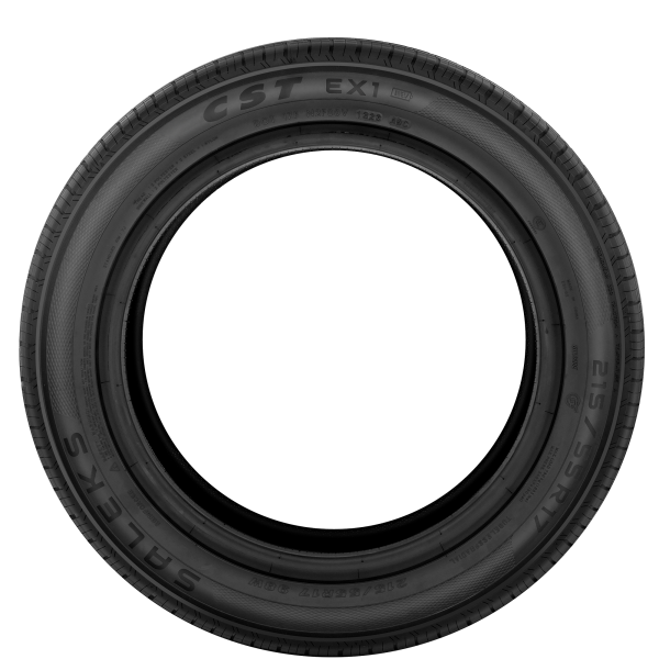 CHENG SHIN - SALEKS E.X1 - 245/45R19 102W TL XL -  Sommerreifen