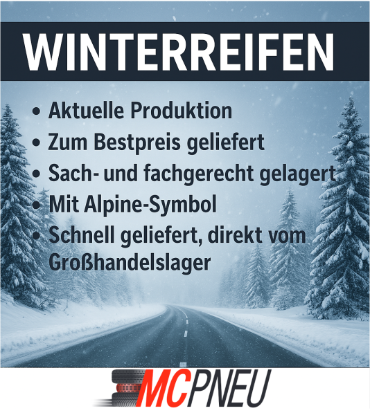 ROCKBLADE - ROCK 989S - 165/70 R14 TL 89/87R M+S 3PMSF BSW -  Winterreifen